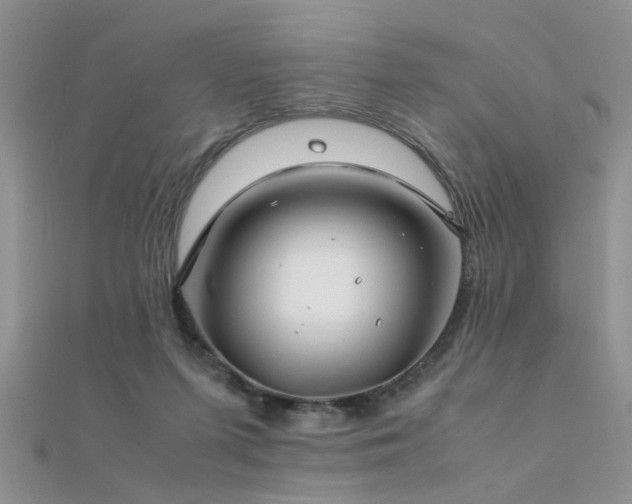 X0000112400215200908141346