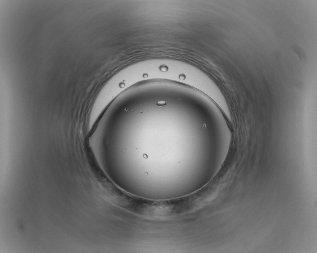 X0000112400217200908141346