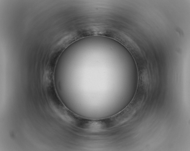 X0000112400218200908141346