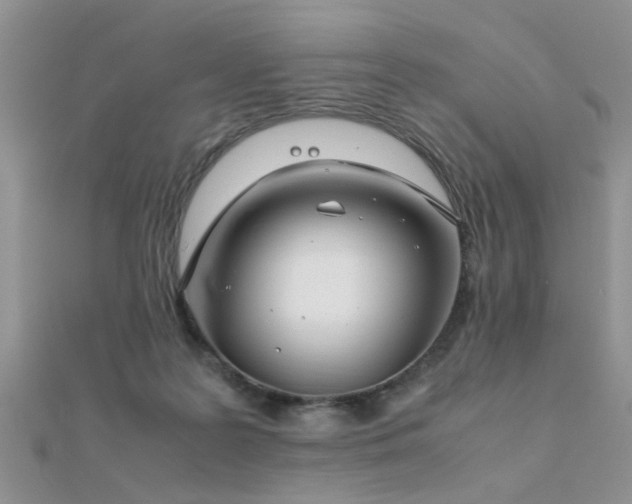 X0000112400219200908141346