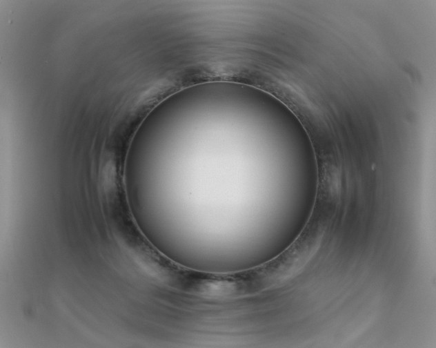 X0000112400220200908141346