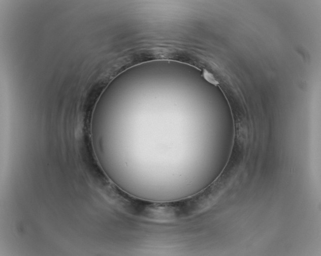 X0000112400221200908141346