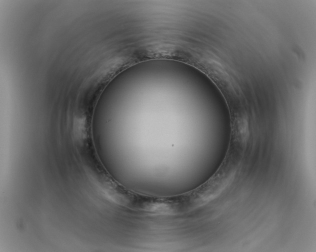 X0000112400224200908141346