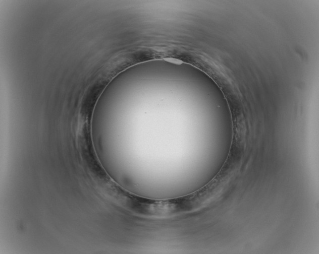 X0000112400225200908141346