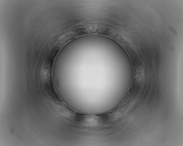 X0000112400226200908141346