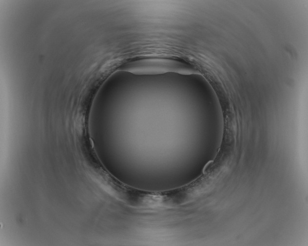 X0000112400227200908141346