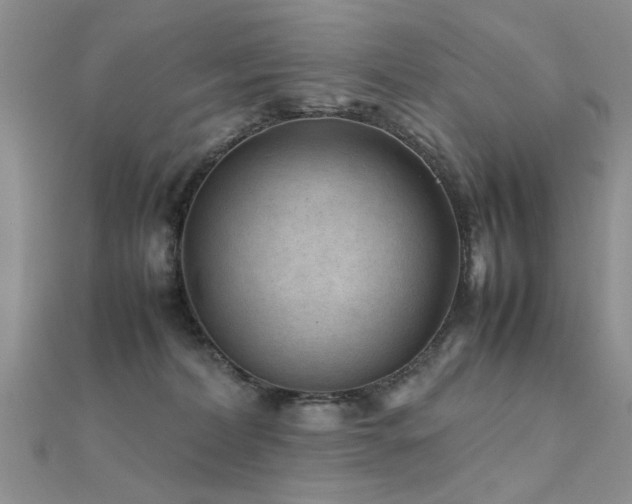 X0000112400228200908141346