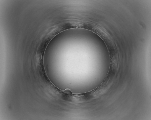 X0000112400229200908141346
