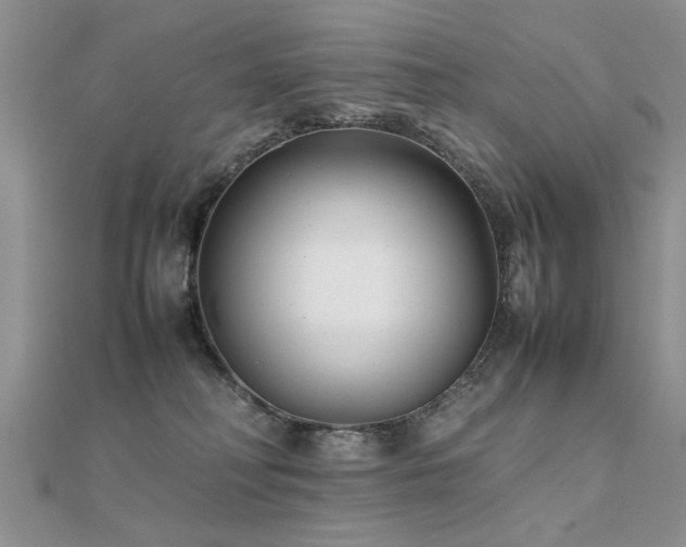X0000112400230200908141346