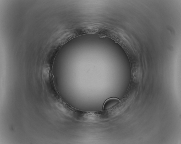 X0000112400231200908141346