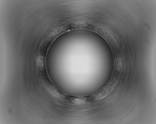 X0000112400232200908141346