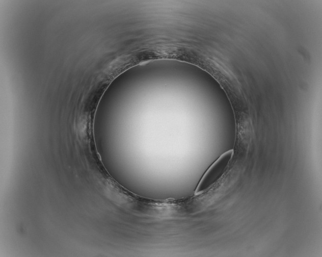 X0000112400233200908141346