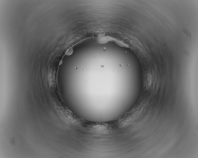X0000112400236200908141346
