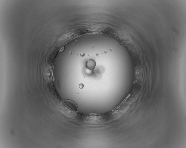 X0000112400237200908141346