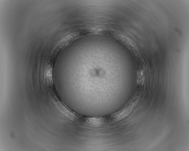 X0000112400238200908141346