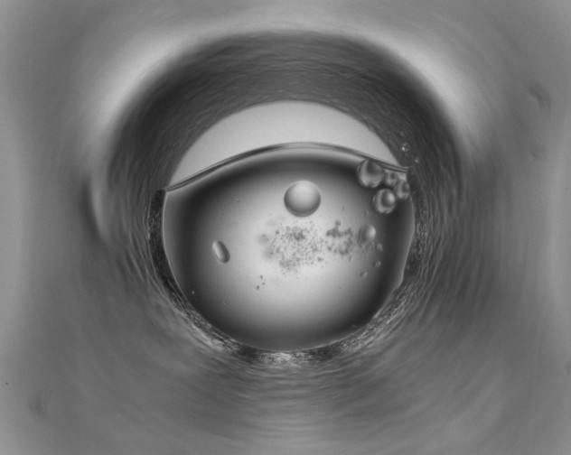 X0000112400239200908141346