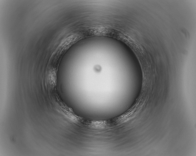 X0000112400240200908141346