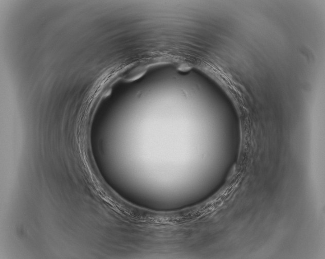 X0000112400241200908141345