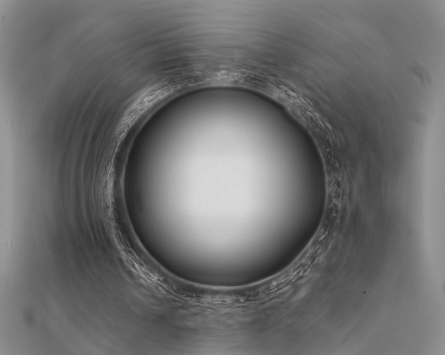 X0000112400242200908141345