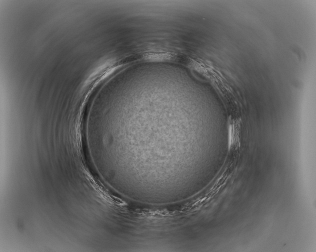 X0000112400243200908141345