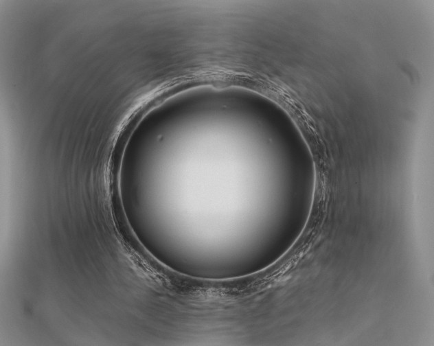 X0000112400244200908141345