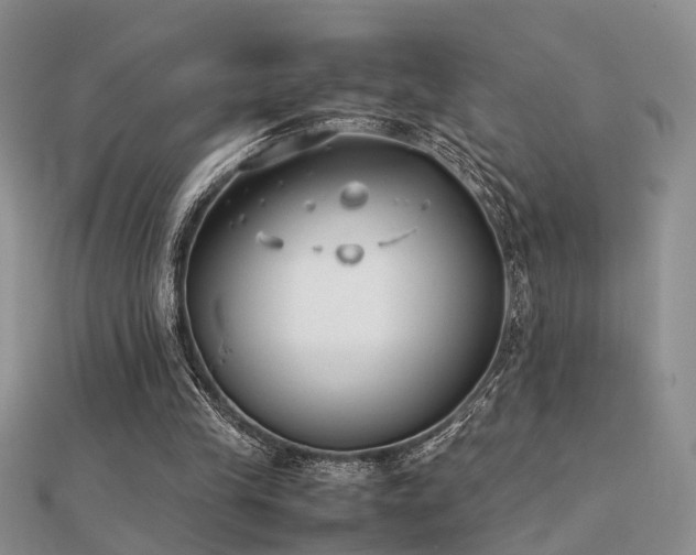 X0000112400245200908141345