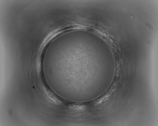 X0000112400247200908141345
