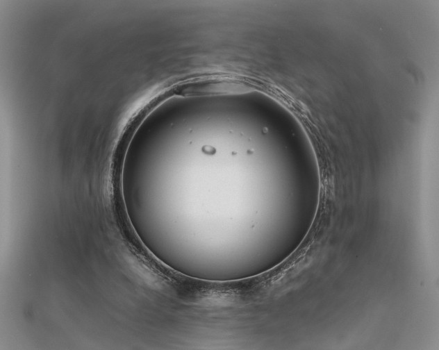 X0000112400248200908141345