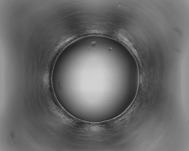 X0000112400249200908141345
