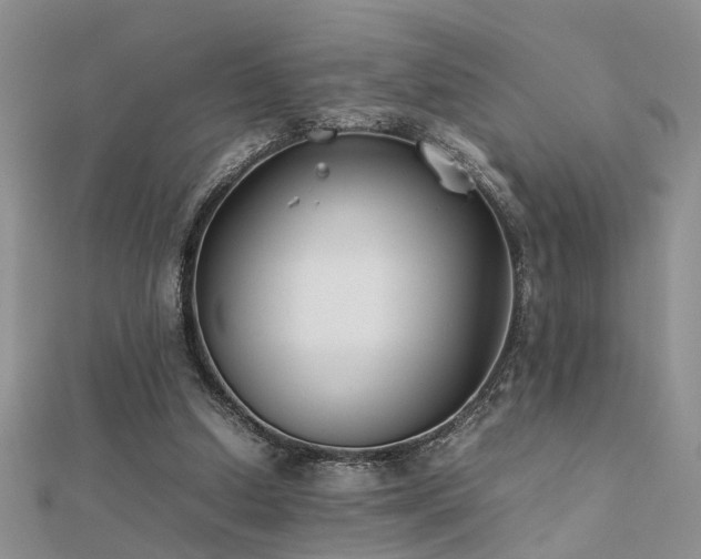 X0000112400250200908141345