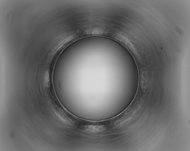 X0000112400251200908141345