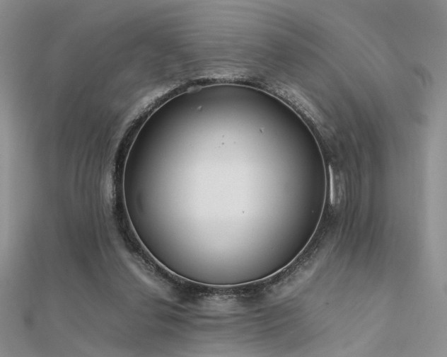 X0000112400252200908141345