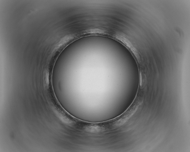 X0000112400253200908141345