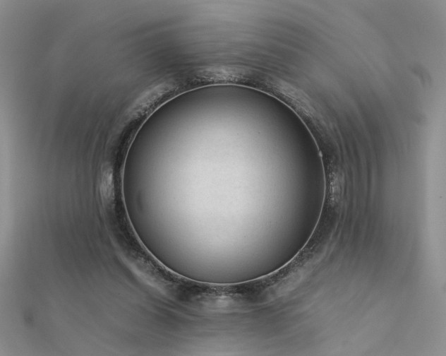 X0000112400254200908141345