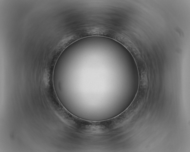 X0000112400255200908141345