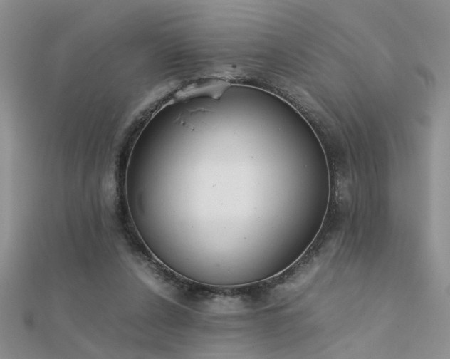 X0000112400256200908141345
