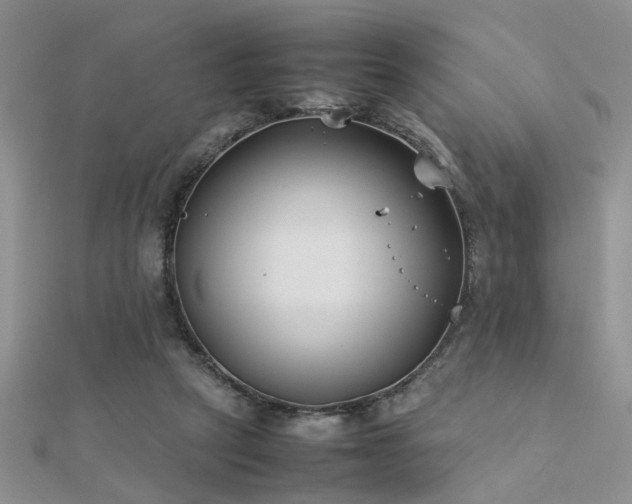 X0000112400257200908141345