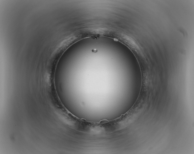 X0000112400258200908141346