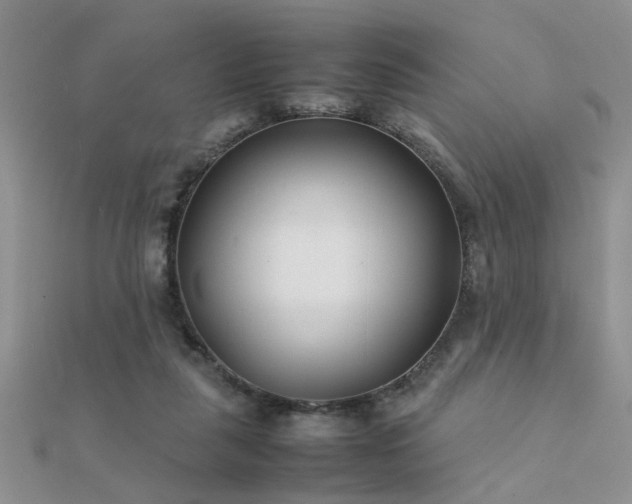 X0000112400259200908141346