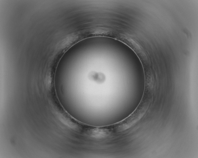X0000112400261200908141346