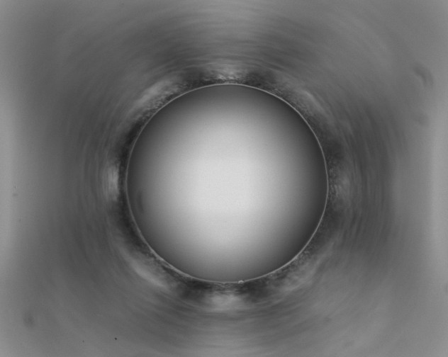 X0000112400262200908141346