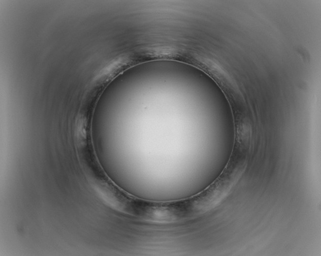 X0000112400264200908141346