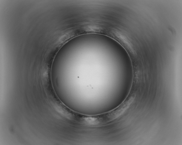X0000112400265200908141346