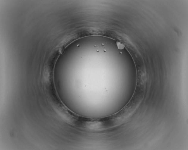 X0000112400266200908141346