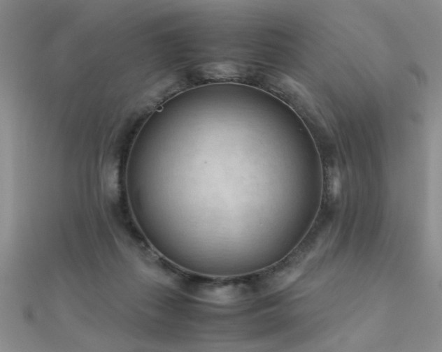 X0000112400267200908141346
