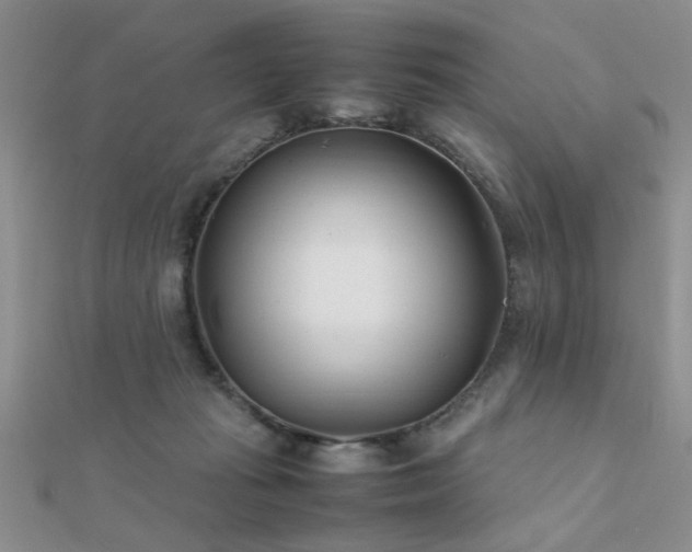 X0000112400269200908141346