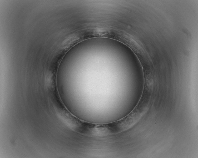 X0000112400270200908141346