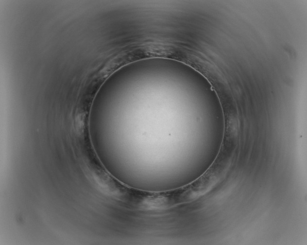 X0000112400271200908141346