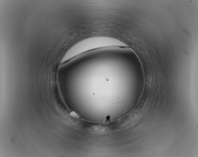 X0000112400272200908141346