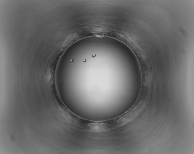 X0000112400273200908141346